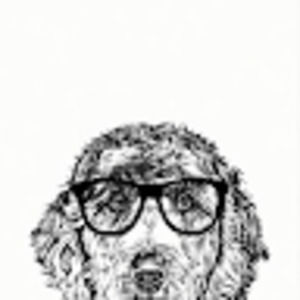 Meet your Posher, Keri